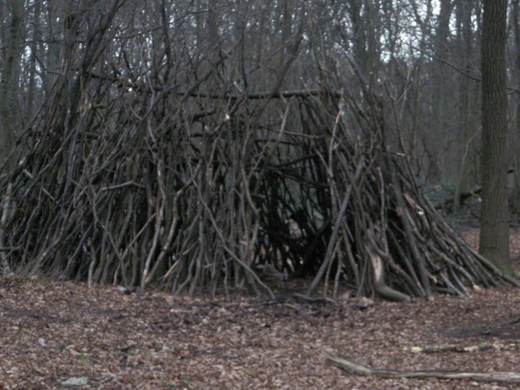 cabane de branches