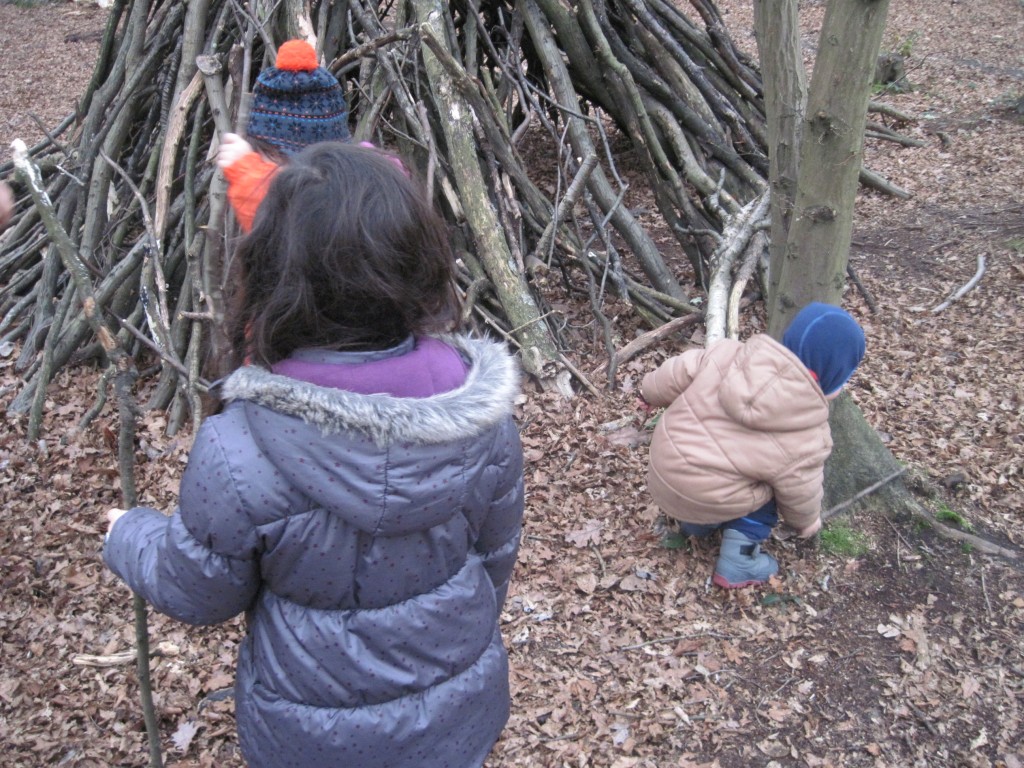 cabane en forêt